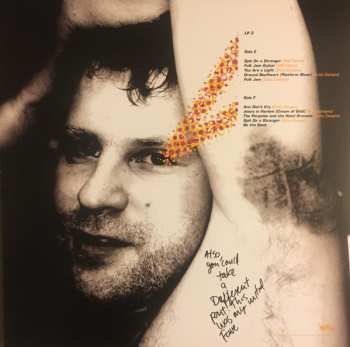 4LP/Set di cofanetti Pavement: Terror Twilight: Farewell Horizontal LTD
