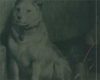 CD Pavlov's Dog: Lost In America