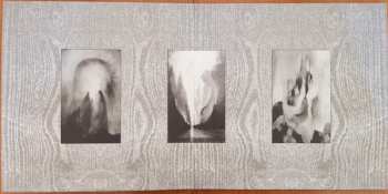 2LP Paysage D'Hiver: Einsamkeit