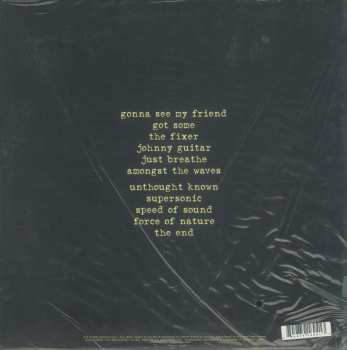 LP Pearl Jam: Backspacer