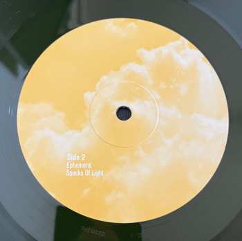 2LP Pelican: What We All Come to Need