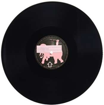 Album Pépé Bradock: Les Aventures De Pépé Bradock / Pistes Insolites Vol. 2 : Intriguing Feathered Creature