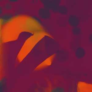 Album Perfect Body/zac White: Fields/spent On You