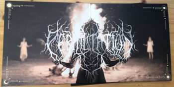 LP Permutation: Transience CLR | LTD