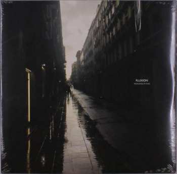 Album Fluxion: Perspectives