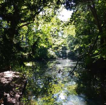 CD Pet Shop Boys: Hotspot