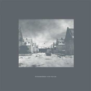 LP Peter Broderick: How They Are