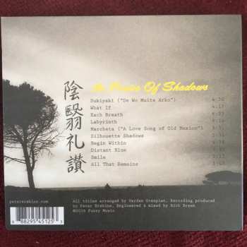 CD Peter Erskine New Trio: In Praise Of Shadows