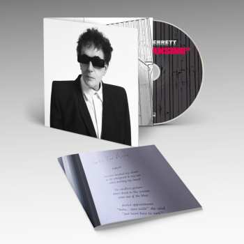 CD Peter Perrett: The Cleansing