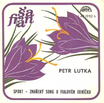Sport • Zmařený Song O Fialovém Hrníčku