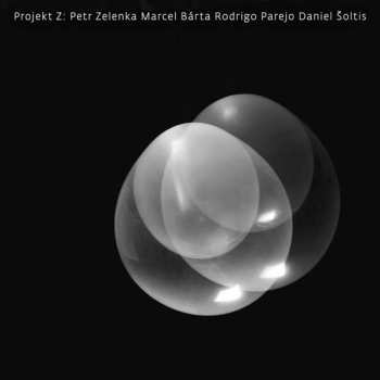 Album Daniel Šoltis: Projekt Z