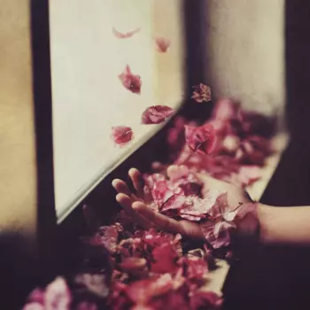 Petre Inspirescu: Vîntul Prin Salcii