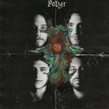 LP Petyr: Petyr LTD | CLR