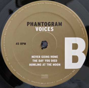 2LP Phantogram: Voices