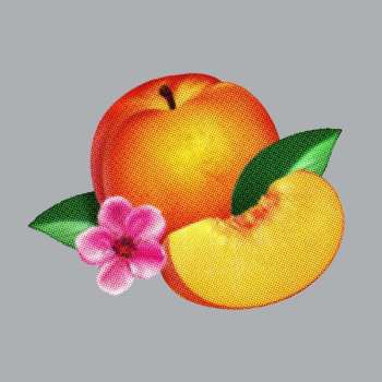 CD Phoenix: Bankrupt!