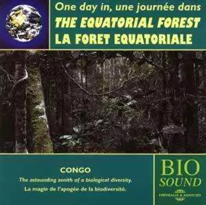 One Day In The Equatorial Forest