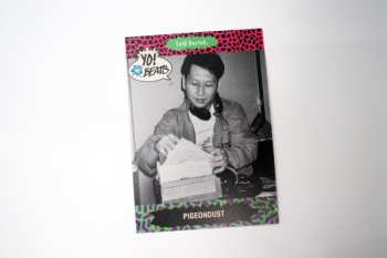 2LP Pigeondust: Way Back When LTD