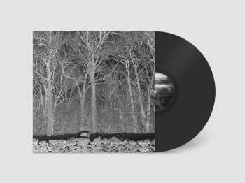 LP Pile: Sunshine & Balance Beams