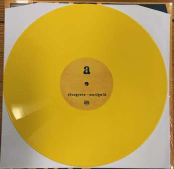 LP Pinegrove: Marigold LTD | CLR