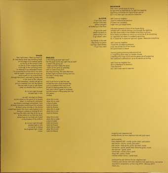 LP Pinegrove: Marigold LTD | CLR