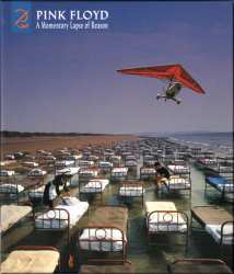 CD/DVD/Set di cofanetti Pink Floyd: A Momentary Lapse Of Reason (Remixed & Updated) DLX