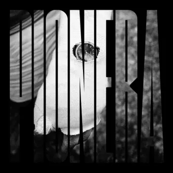 Pionera: Bolsa De Piedras