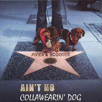 CD Piper & Scooter: Ain't No Collawearin' Dog