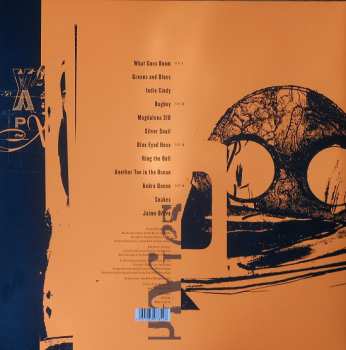 2LP/CD Pixies: Indie Cindy