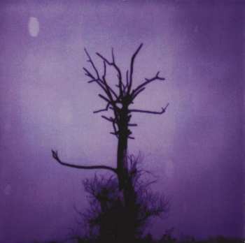 CD PJ Harvey: Is This Desire?