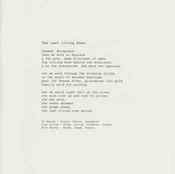 CD PJ Harvey: Let England Shake