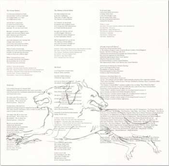 LP PJ Harvey: The Hope Six Demolition Project