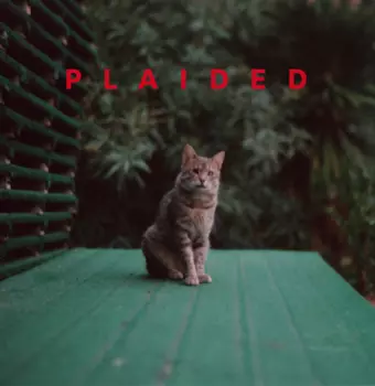 Plaided: Playdate