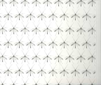 CD Platform: Anthropocene