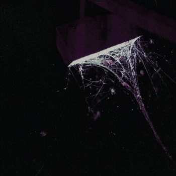 Album Pluralone: 7-across The Park/sevens