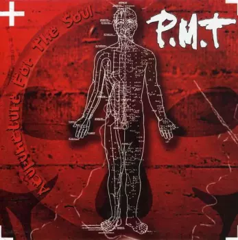 P.M.T.: Acupuncture For The Soul