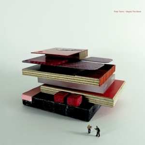 LP Polar Twins: Maybe The Moon