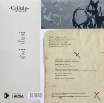 LP Polymorphie: Cellule