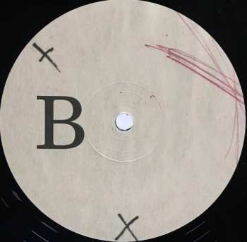 LP Polymorphie: Cellule