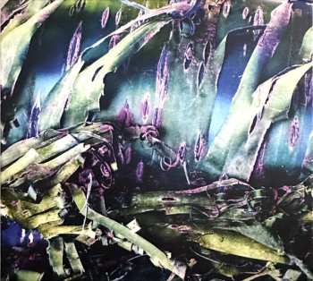 CD Polypores: Multizonal Mindscramble LTD