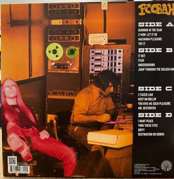2LP Poobah: Burning In The Rain An Anthology