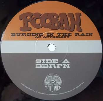 2LP Poobah: Burning In The Rain An Anthology