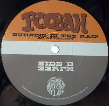 2LP Poobah: Burning In The Rain An Anthology