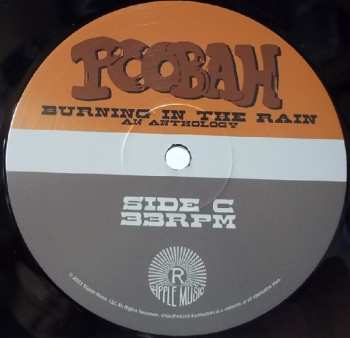 2LP Poobah: Burning In The Rain An Anthology