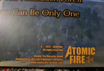 LP Power Paladin: With The Magic Of Windfyre Steel LTD | CLR