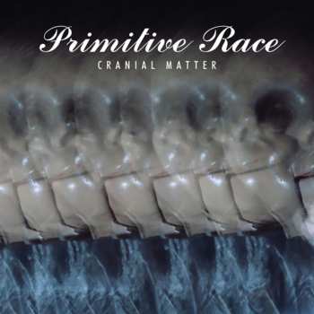 CD Primitive Race: Cranial Matter