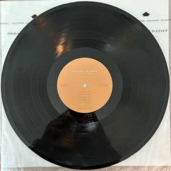 LP Principe Valiente: In This Light