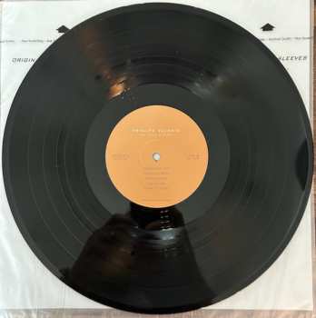 LP Principe Valiente: In This Light