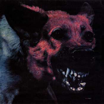 CD Protomartyr: Under Color Of Official Right