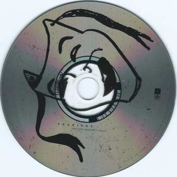 2CD Prurient: Frozen Niagara Falls