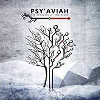 2CD Psy'Aviah: The Xenogamous Endeavour LTD